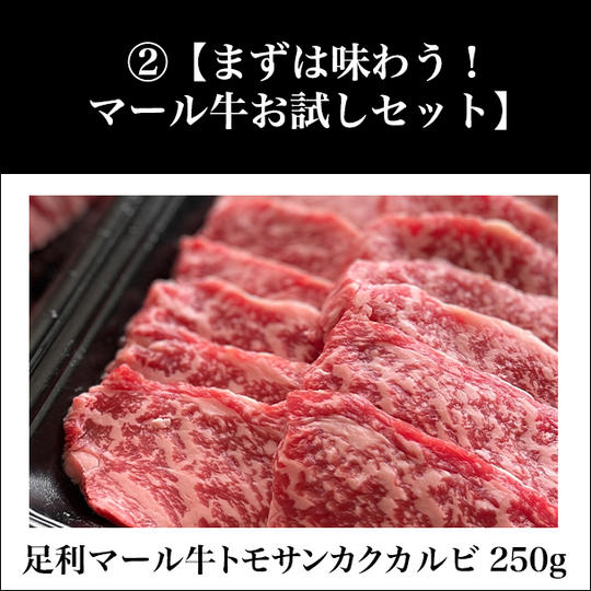 ②【まずは味わう!マール牛お試しセット】