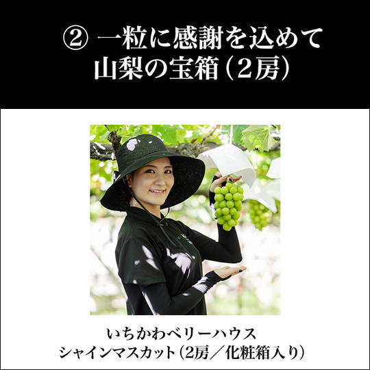 ② 一粒に感謝を込めて:山梨の宝箱(2房)
