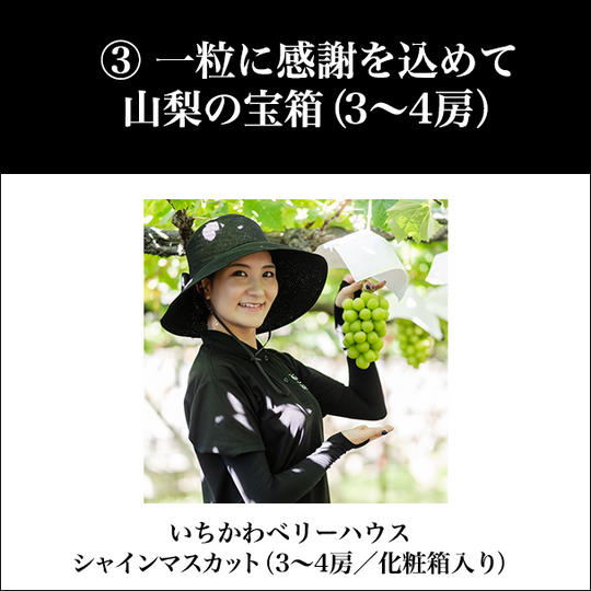 ③ 一粒に感謝を込めて:山梨の宝箱(3〜4房)
