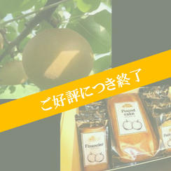 IBUSHIGIN限定 彩玉梨の果実と洋菓子のコンビセット