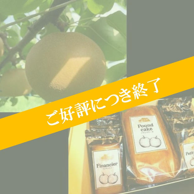 IBUSHIGIN限定 彩玉梨の果実と洋菓子のコンビセット
