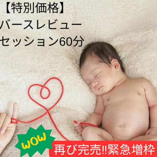 ＜再増枠＞【クラファン特別価格】バースレビューセッション60分