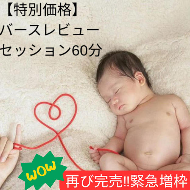 ＜再増枠＞【クラファン特別価格】バースレビューセッション60分