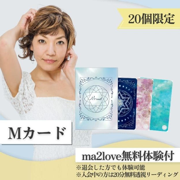 Mカード(１ケース)