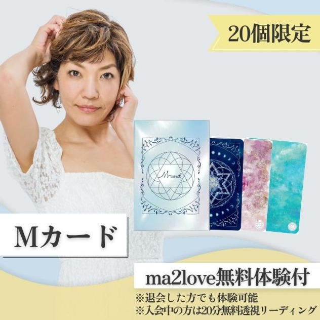 Mカード(１ケース)