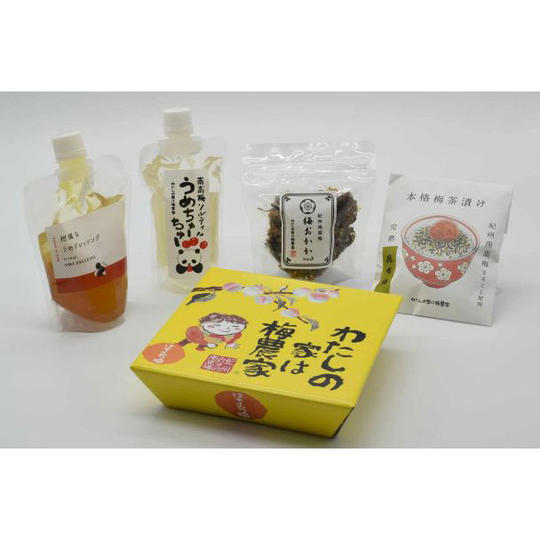 8.【和歌山県 みなべ町】株式会社岩本食品“クラファン応援特別セット”