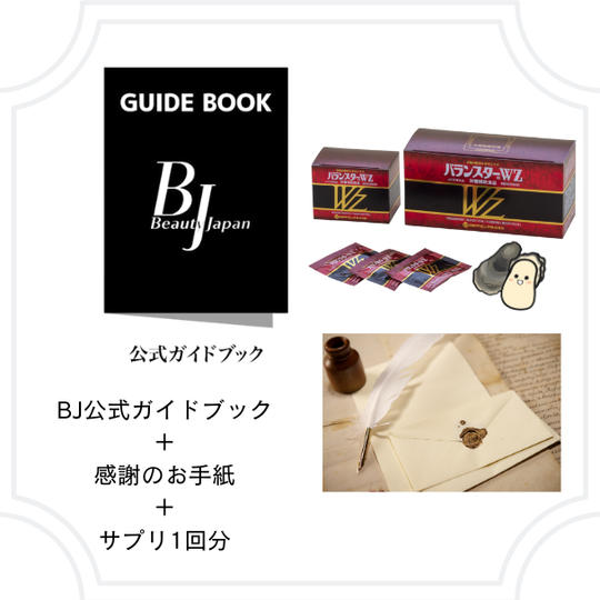 ④ ガイドブック応援プラン