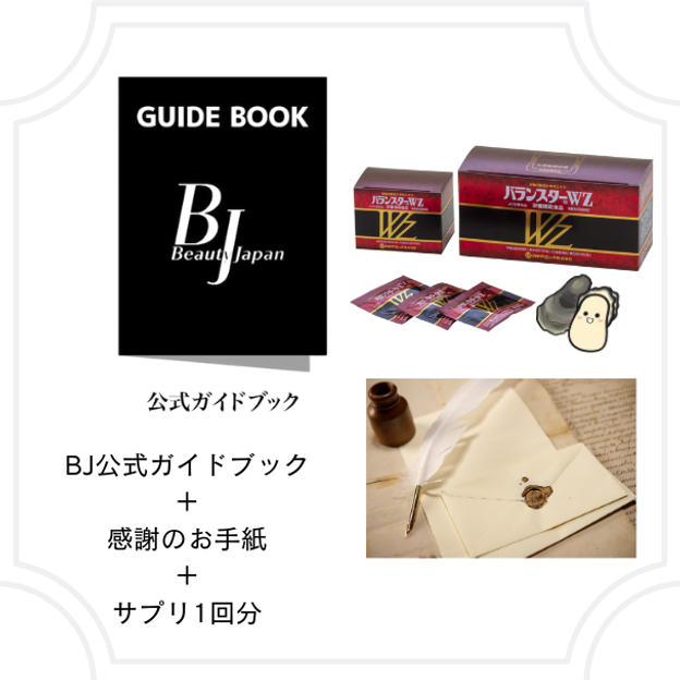 ④ ガイドブック応援プラン