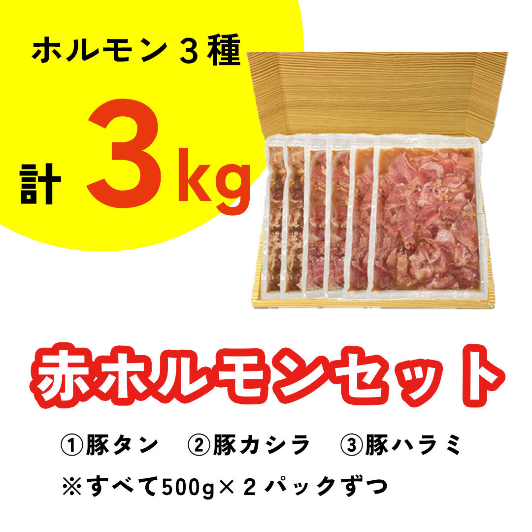 昊授苑で使える20％OFFクーポン付き】国産豚赤ホルモンセット約3