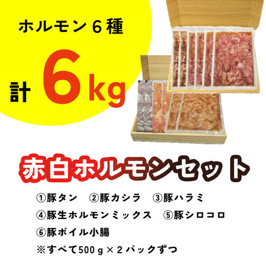 【昊授苑で使える20％OFFクーポン付き】国産豚赤白ホルモンセット約６㎏