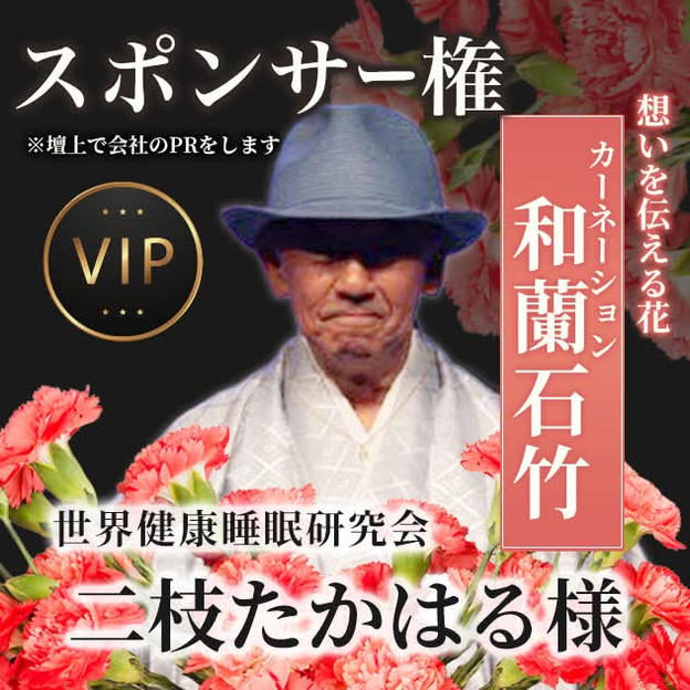 【二枝たかはる様専用】スポンサー和蘭石竹（カーネーション）