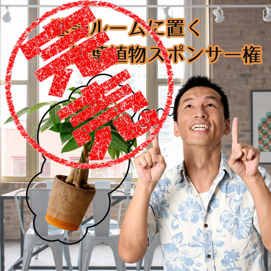 速読ルームに置く観葉植物支援🎶権