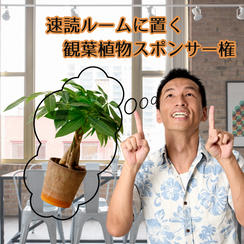 速読ルームに置く観葉植物支援🎶権