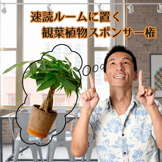 速読ルームに置く観葉植物支援🎶権
