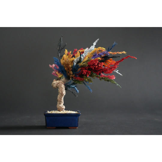 ドライ盆栽® 「多様の世界」