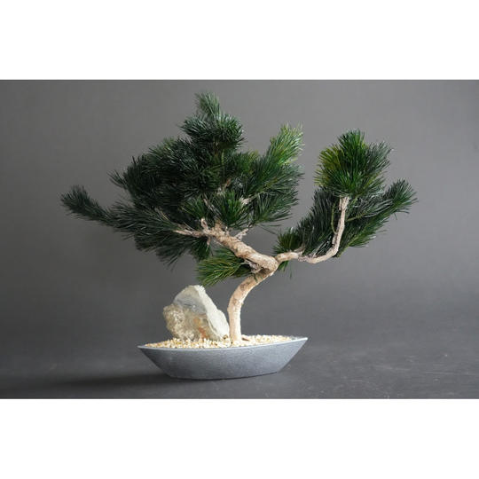 ドライ盆栽® 「繁栄」石庭型