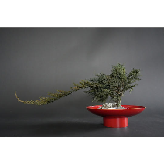 ドライ盆栽® 「祝盆」石庭型Ⅰ