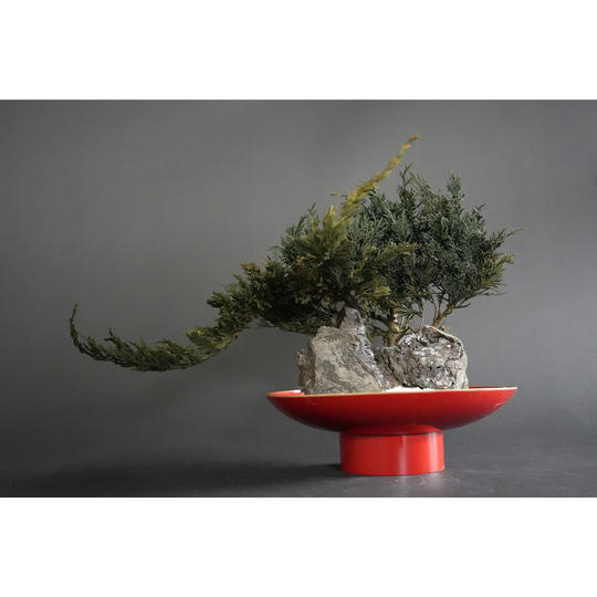 ドライ盆栽® 「祝盆」石庭型Ⅱ