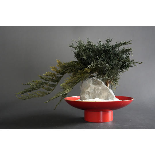 ドライ盆栽® 「祝盆」石庭型Ⅲ