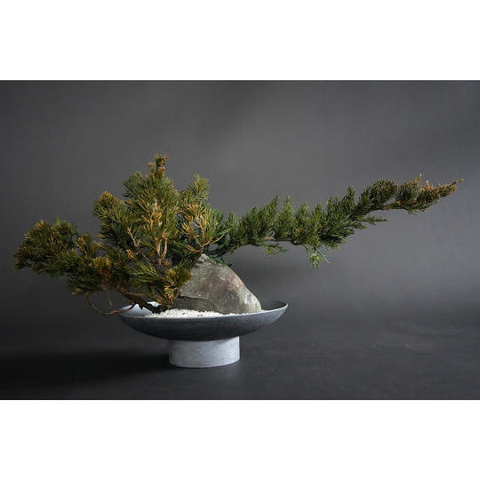 ドライ盆栽® 「躍進」石庭型