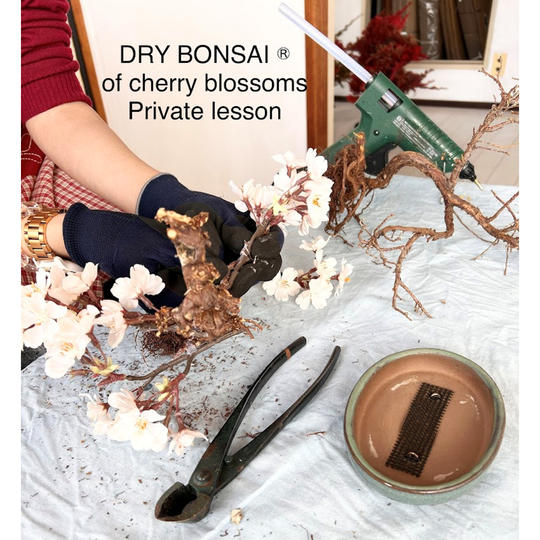 【限定10名】DRY BONSAI®特別体験レッスン