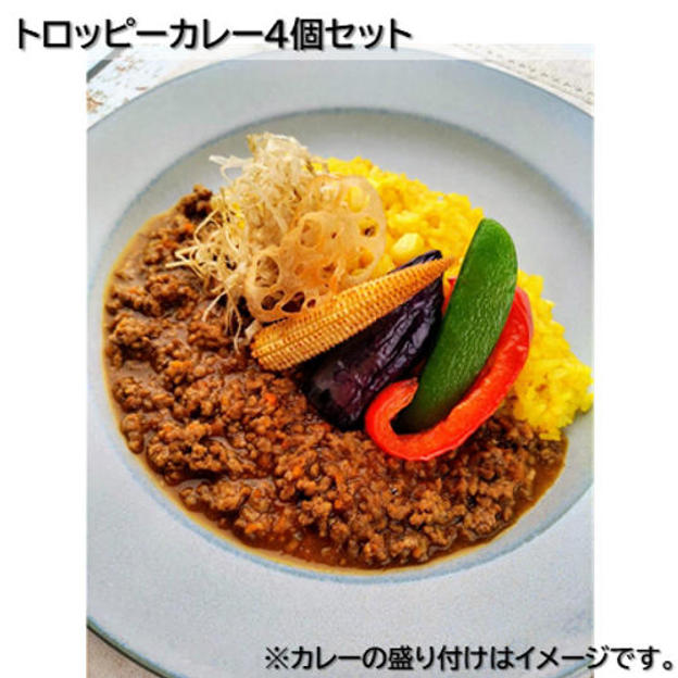 トロッピーカレー4個セット
