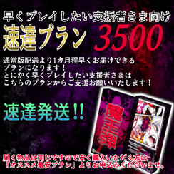 早くプレイしたい支援者さま向け！速達プラン