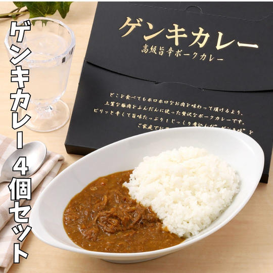 ② 世界に羽ばたくゲンキカレーお届け便(4個セット)