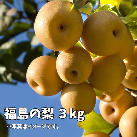 ③ 大好きなおばあちゃんの想いとともに。福島の梨お届け便