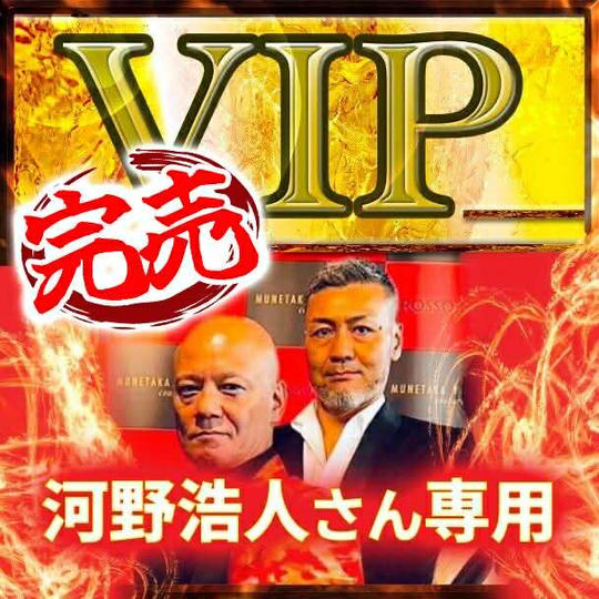【河野浩人さん専用】VIPチケット
