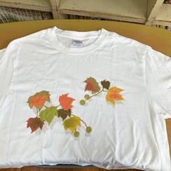 オリジナルプラタナスTシャツ