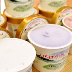 里山ファームジェラート詰め合わせ