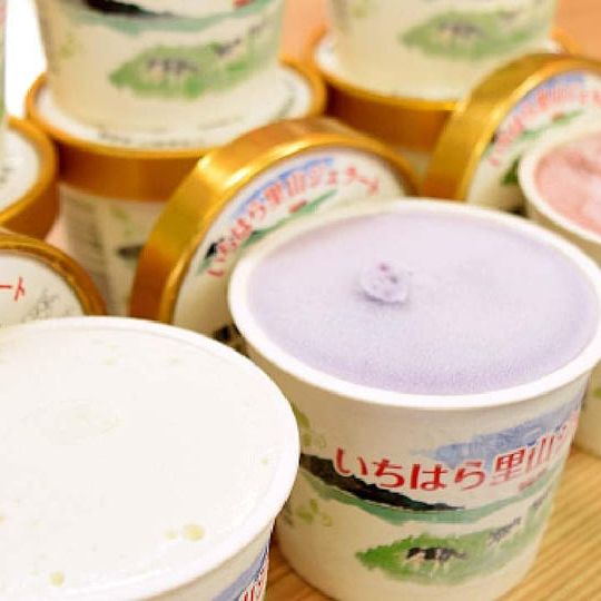 里山ファームジェラート詰め合わせ