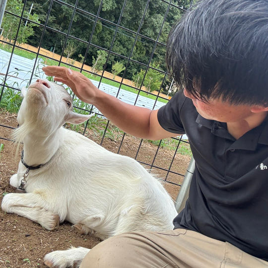 お礼のメッセージ