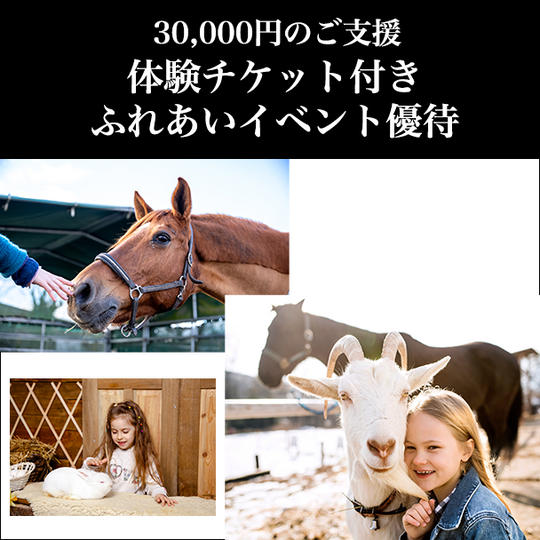 ⑥ 30,000円:体験チケット付き/ふれあいイベント優待