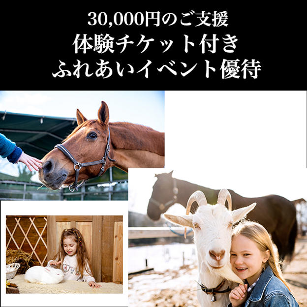 ⑥ 30,000円：体験チケット付き／ふれあいイベント優待
