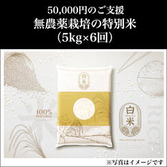 ⑦ 50,000円：無農薬栽培の特別米（5kg×6回）