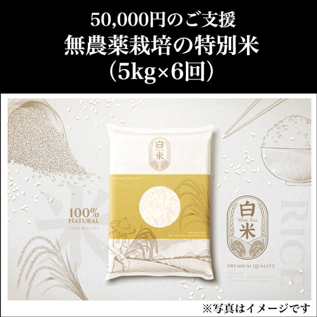 ⑦ 50,000円：無農薬栽培の特別米（5kg×6回）