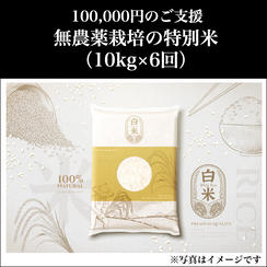 ⑧ 100,000円：無農薬栽培の特別米（10kg×6回）