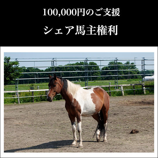 ⑩ 100,000円:シェア馬主権利