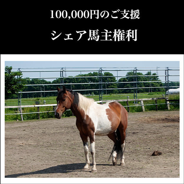 ⑩ 100,000円：シェア馬主権利