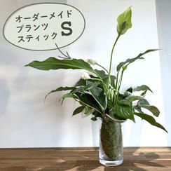 オーダーメイドプランツスティックS