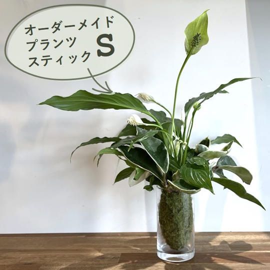 オーダーメイドプランツスティックS