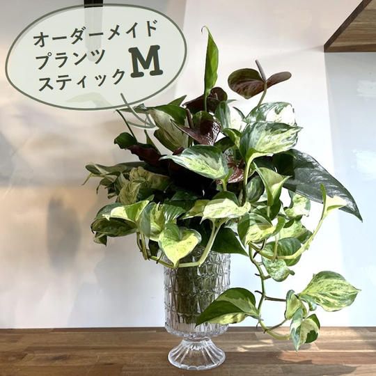 オーダーメイドプランツスティックM