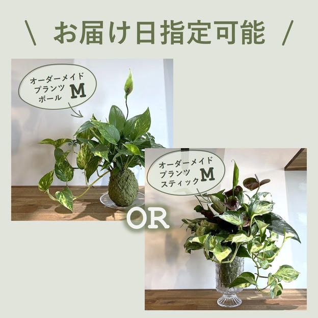 【お届け日指定】オーダーメイドプランツボール or プランツスティックM