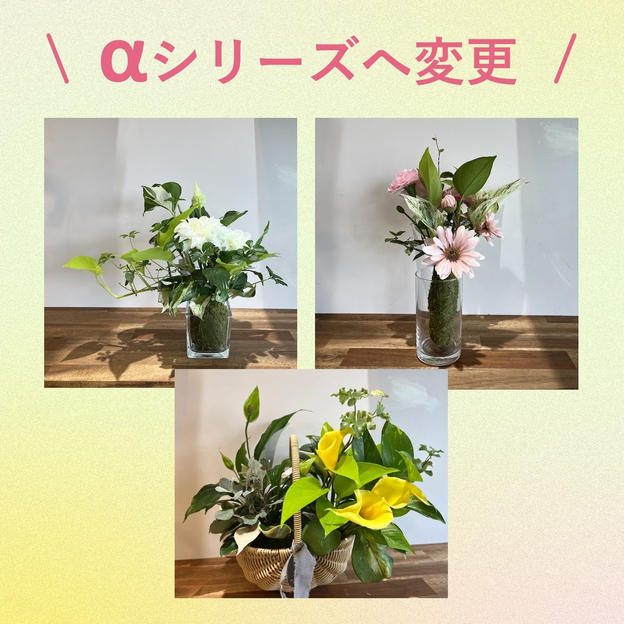 α（アルファ）シリーズ変更