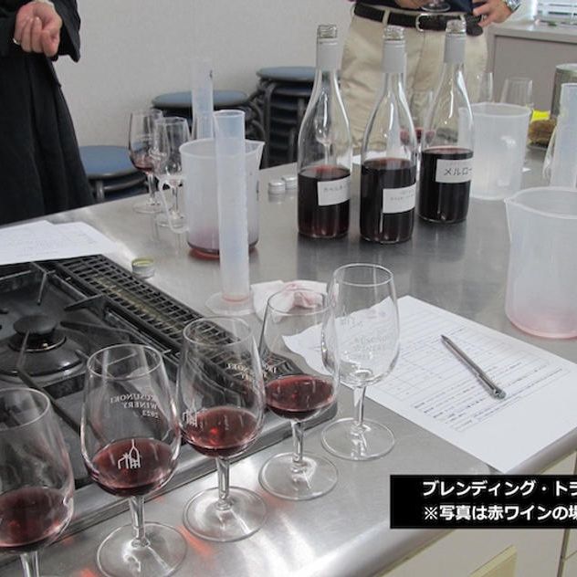 体験コースＢ：あなたのオリジナル赤ワインを造ろう〜ブレンディングトライアル