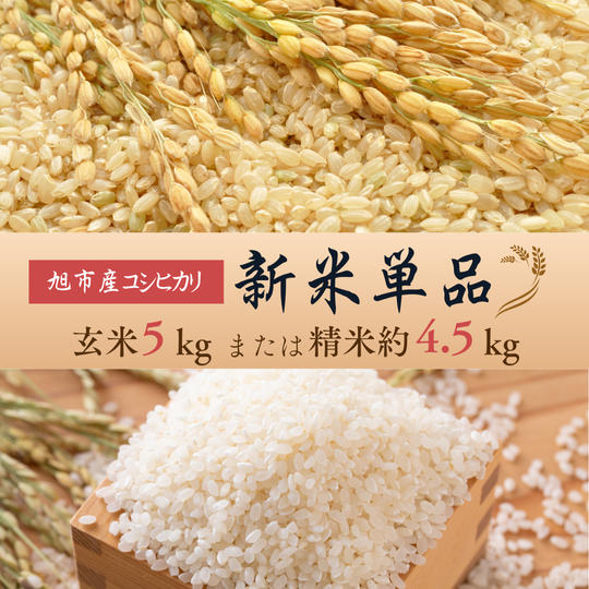 ◇単品◇令和７年産コシヒカリ【玄米５kg】または【精米約4.5kg】