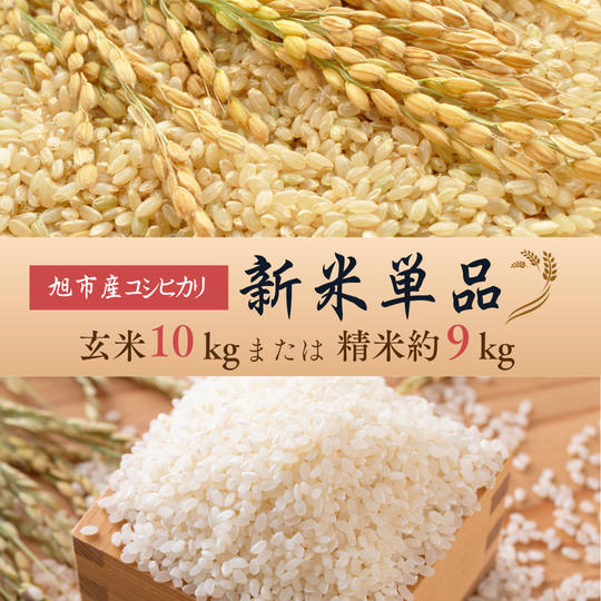 ◇単品◇令和７年産コシヒカリ【玄米10kg】または【精米約９kg】
