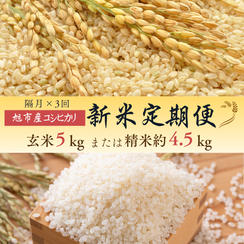 ◇定期便（隔月×３回）◇令和７年産コシヒカリ １回あたり【玄米５kg】または【精米約4.5kg】